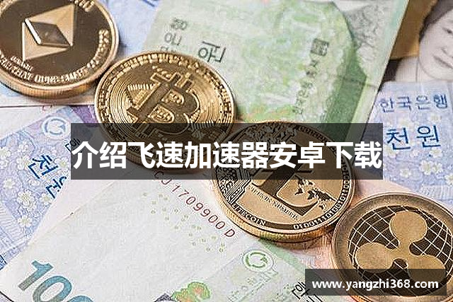 介绍飞速加速器安卓下载